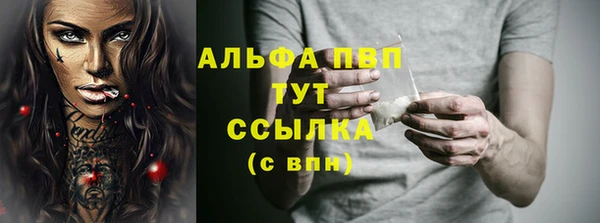 прущие грибы Зеленодольск