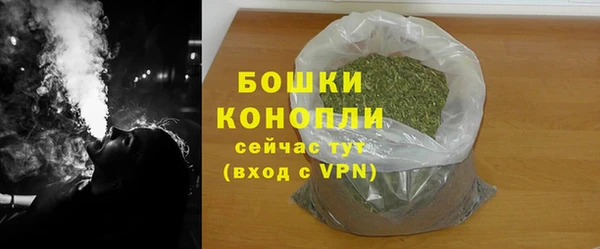 прущие грибы Зеленодольск