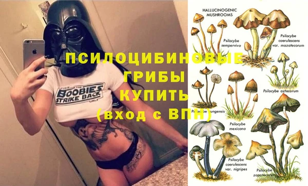 прущие грибы Зеленодольск