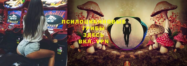 скорость Зерноград