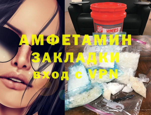 прущие грибы Зеленодольск