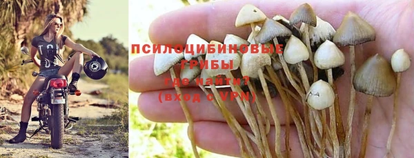 скорость Зерноград