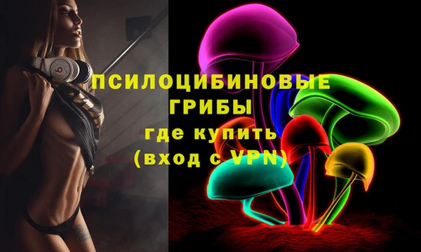 прущие грибы Зеленодольск