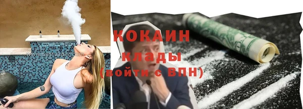 прущие грибы Зеленодольск