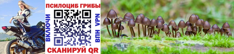 Купить где  Клин  Галлюциногенные грибы мицелий 